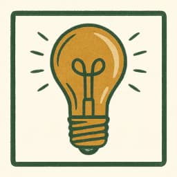 Light & Appliance Checks